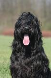BRIARD 258